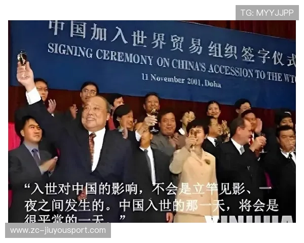 中国就WTO“特殊待遇”问题的立场与应对策略